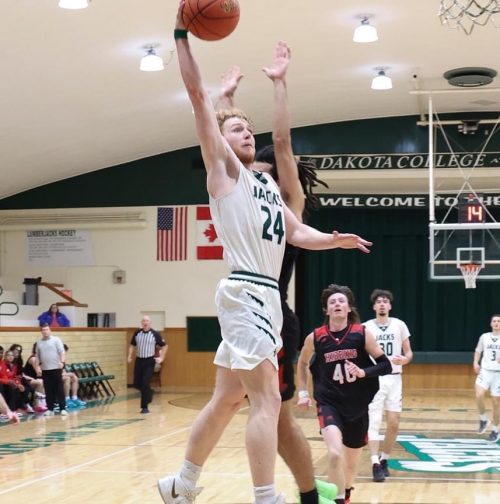 basketball dunk max basketball dunk max